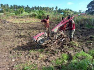 Organic farming with The Tangan Sanggase Group in Sanggase Village