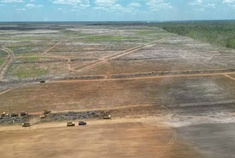 The National Strategic Project (NSP) in Merauke, South Papua